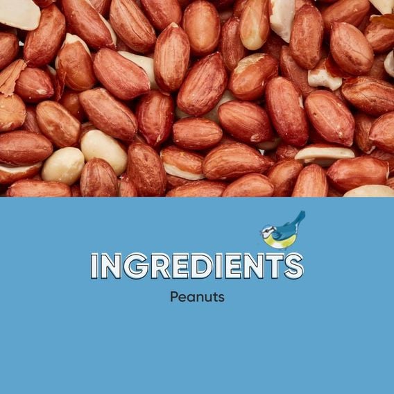 Happy Beaks - Peanuts - Aflatoxin Tested